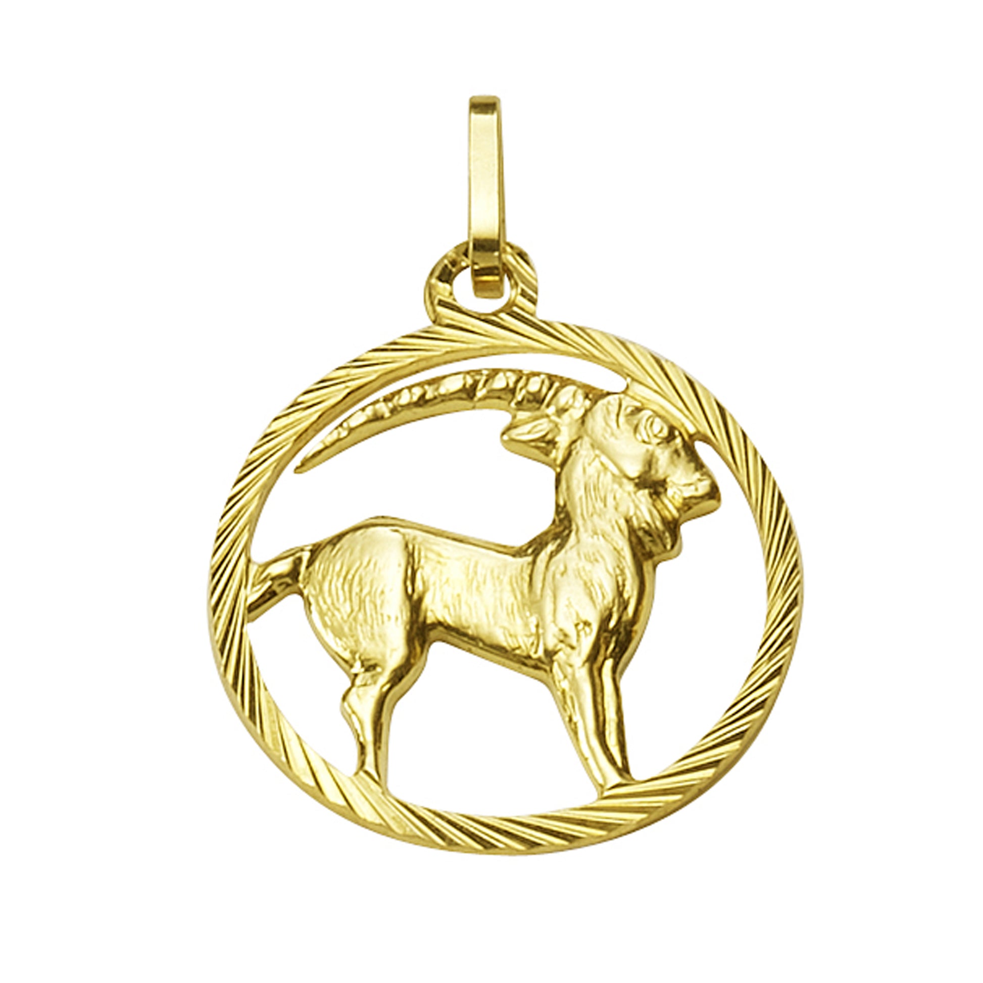 Anhänger 333/- Gelbgold Sternzeichen Steinbock