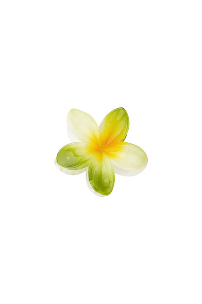Haarspange Hawaii-Traum